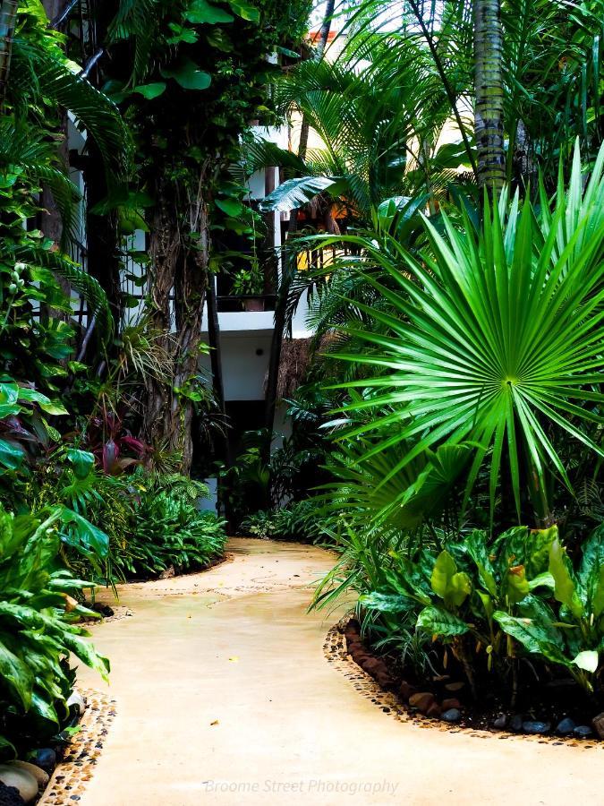 פלאייה דל כרמן Hotel Kinbe - Few Steps From 5Th Avenue And The Beach מראה חיצוני תמונה
