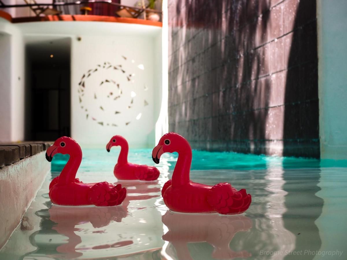 פלאייה דל כרמן Hotel Kinbe - Few Steps From 5Th Avenue And The Beach מראה חיצוני תמונה