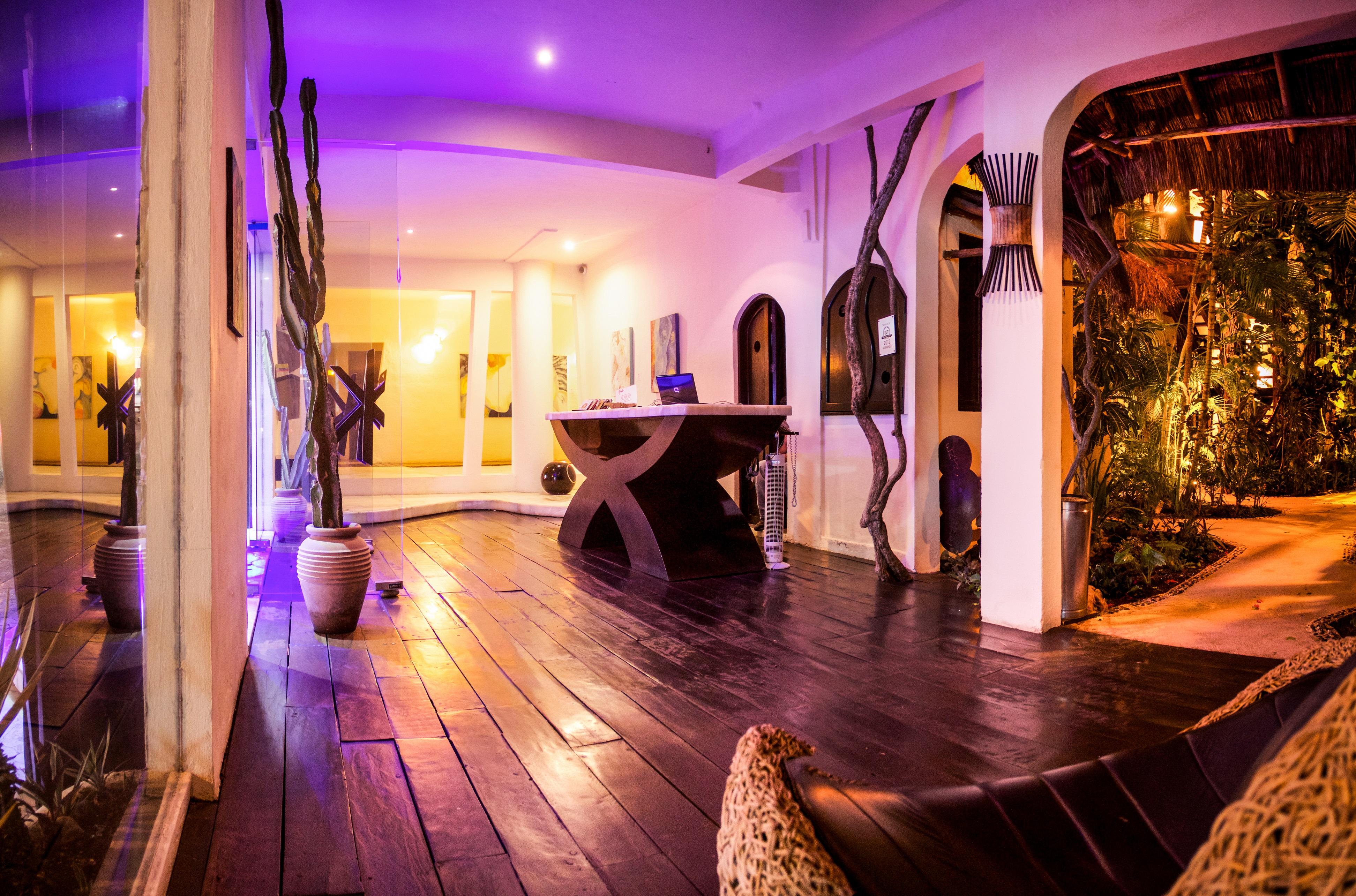 פלאייה דל כרמן Hotel Kinbe - Few Steps From 5Th Avenue And The Beach מראה חיצוני תמונה